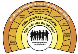 grafico_salud