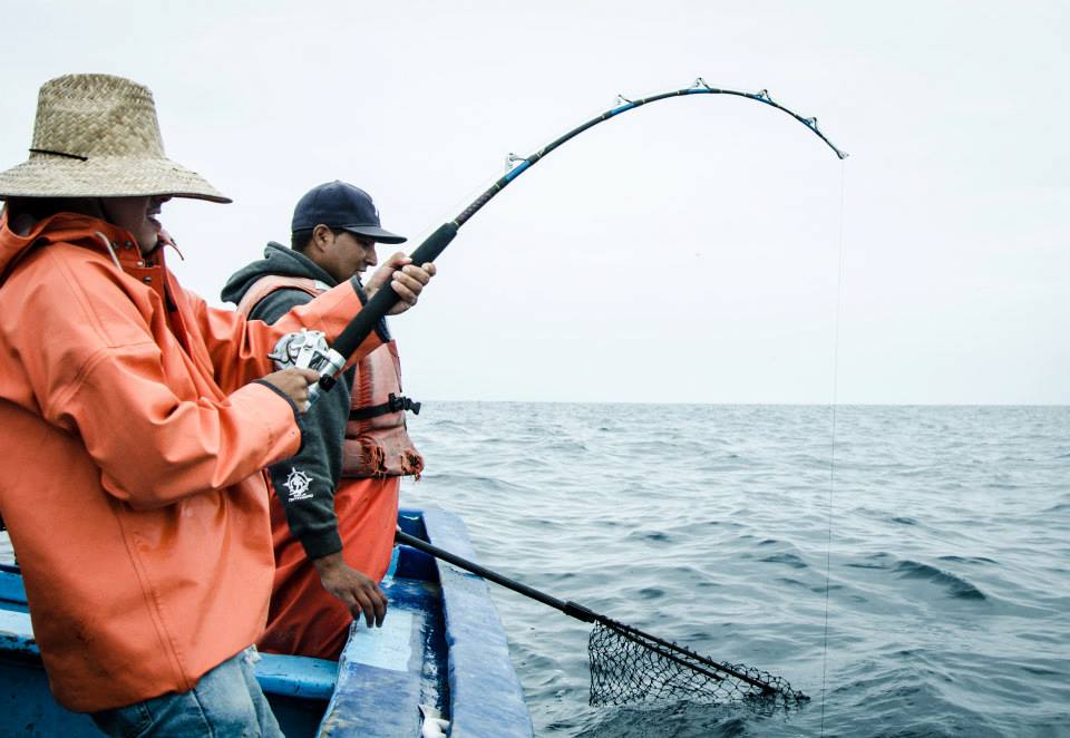 smartfish