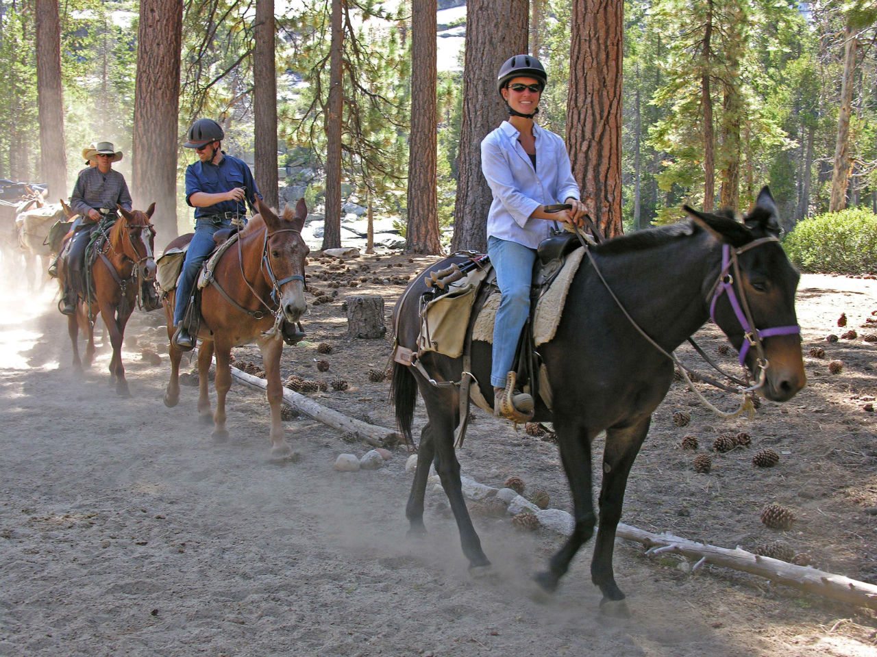 Paseo a caballo en el valle de Yosemite