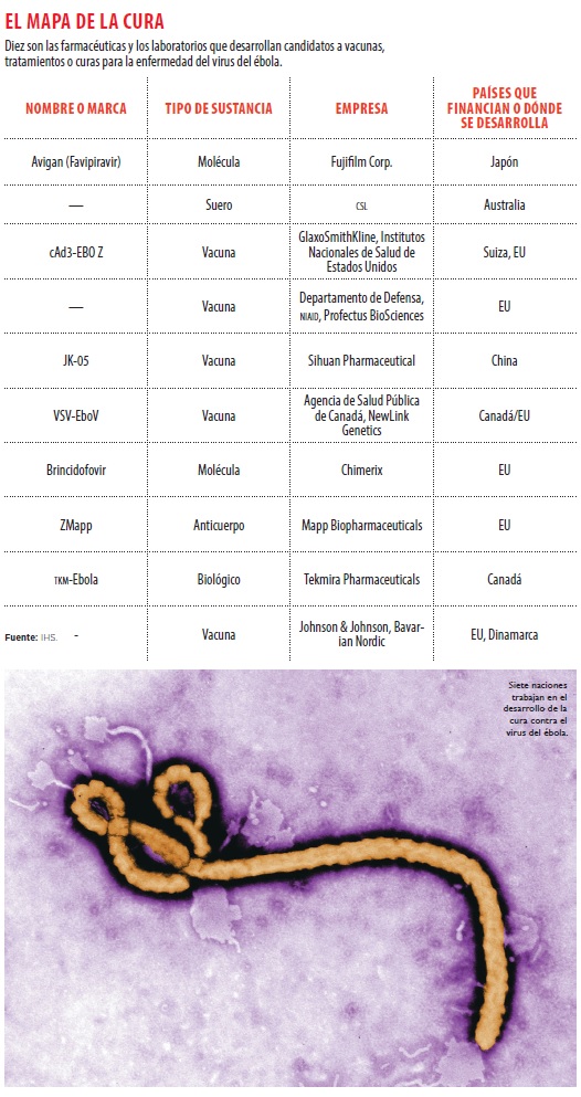 grafico_ebola
