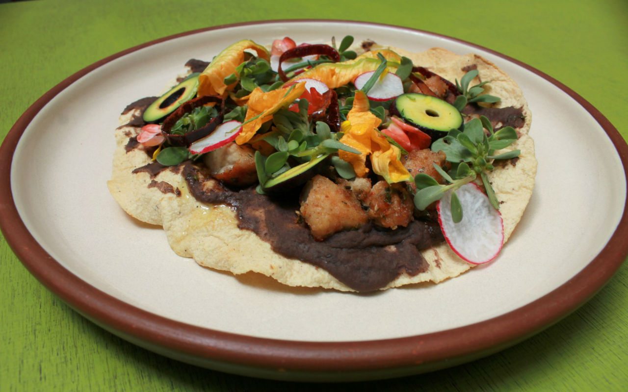Tostada de Mollejas2
