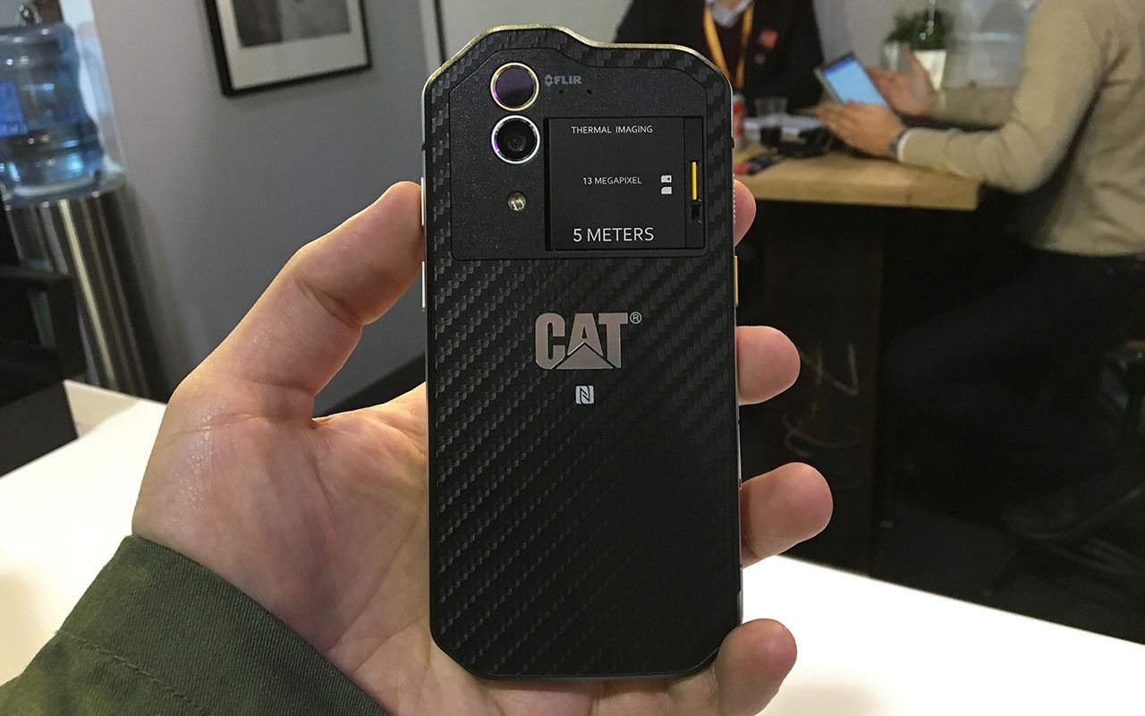 cat2