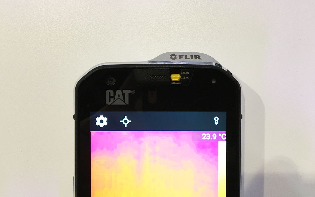 cat_8