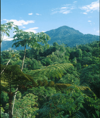 Zona Turística Caribe Sur en Costa Rica