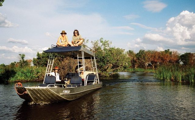 Paseos por las lagunas de Delta en donde se pueden ver pequeños cocodrilos. 