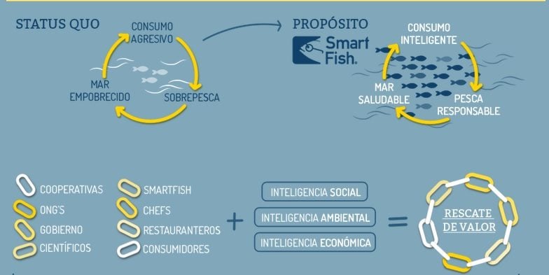 SmartFish modelo